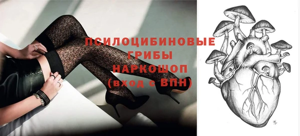 2c-b Коряжма