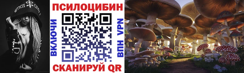 Галлюциногенные грибы Psilocybine cubensis  Купить  Морозовск 